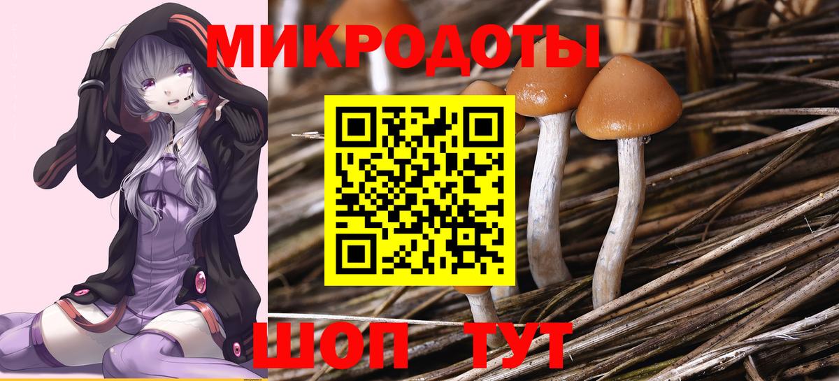 Псилоцибиновые грибы прущие грибы  Вход с VPN  Трёхгорный 